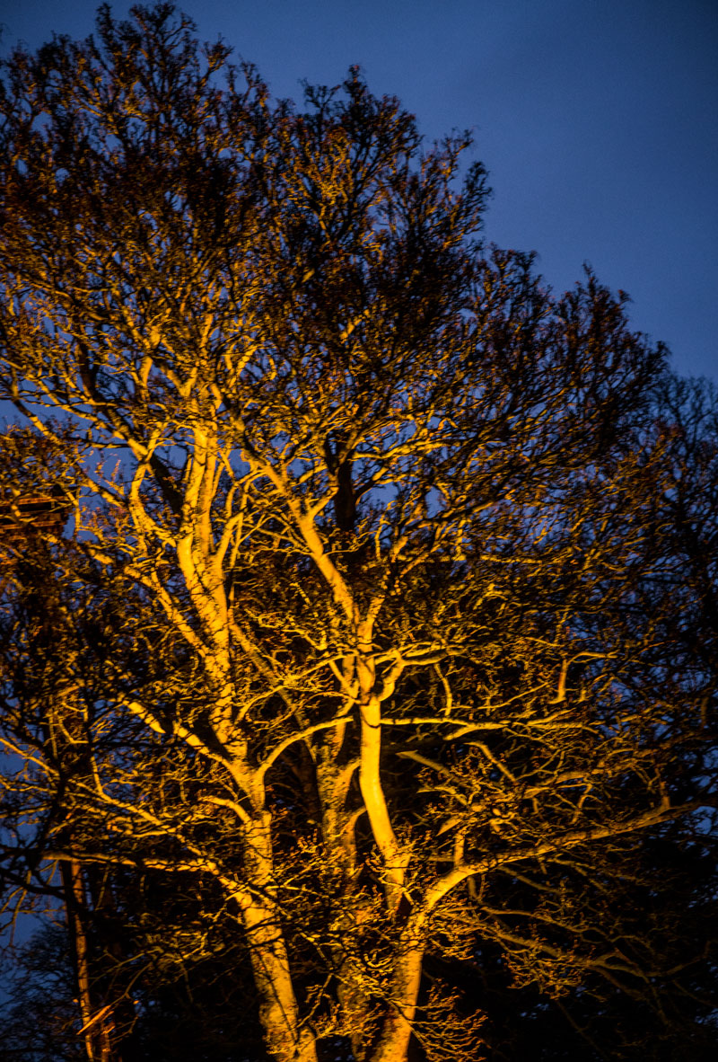 Bicester Motion Lighting Design
